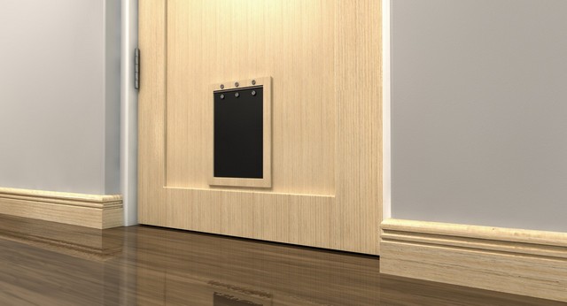 Cat Flap Installation Bexleyheath, Upton, DA6